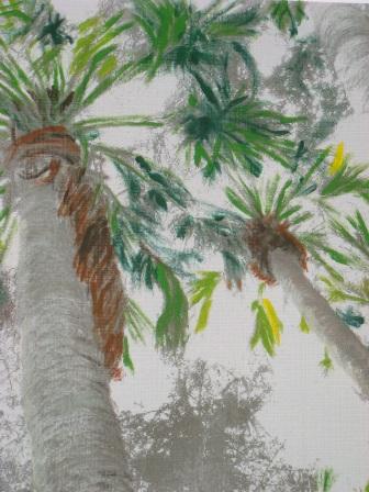 Merritt Island Trees